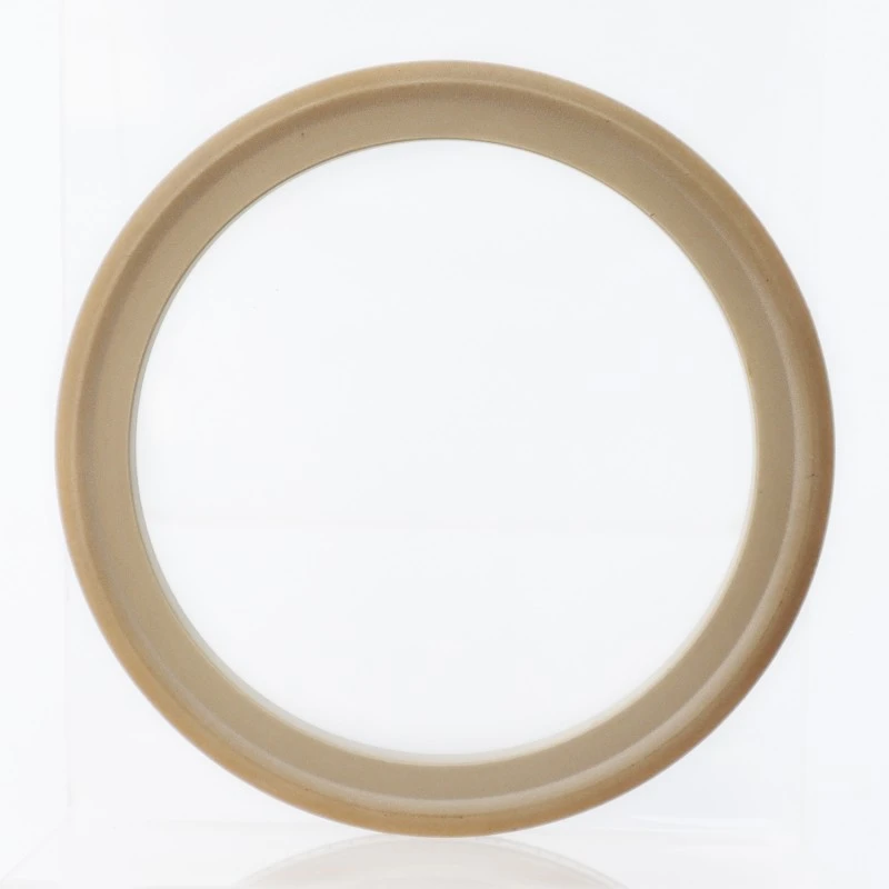 स्प्रिंग-एनर्जेटिक फेस सील्स